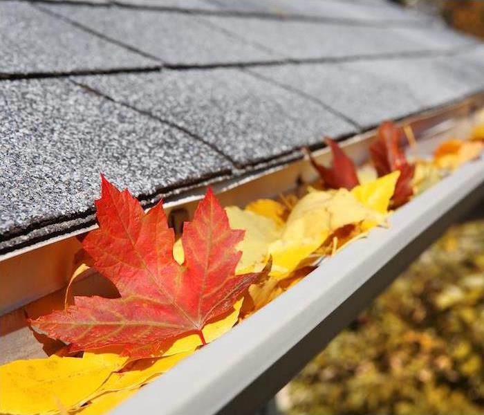 bright orange and yellow fall foliage in the gutter of a residential home